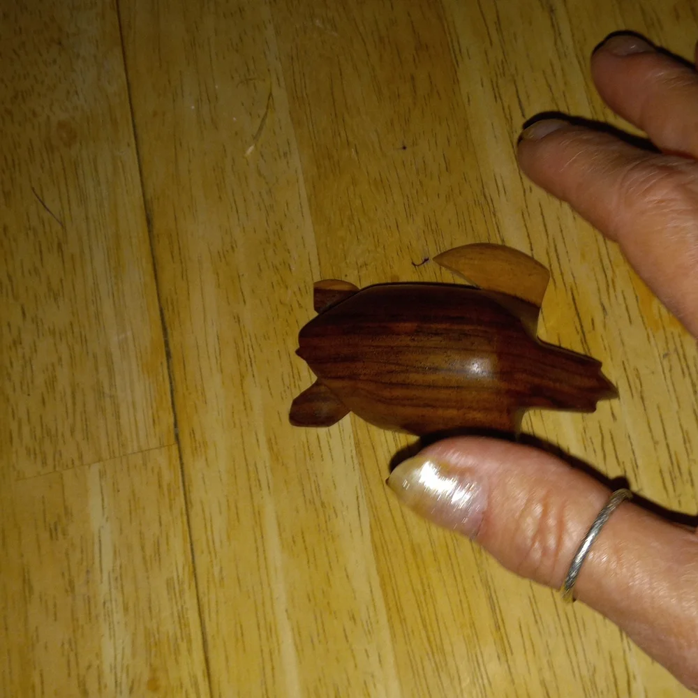 Turtle - Picture 3 of 3